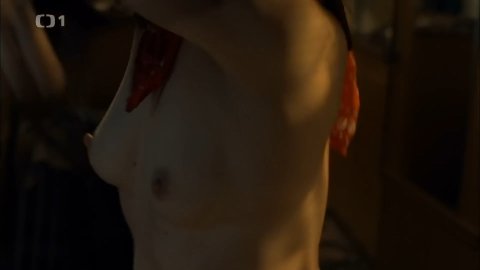 Tatiana Vilhelmova - Erotic Scenes in Nevinné lži s02e03 (2014)